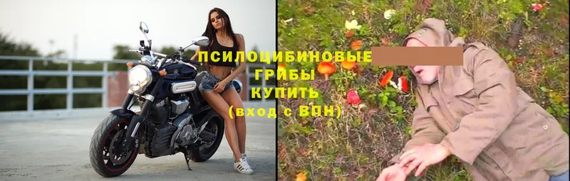 Галлюциногенные грибы мухоморы  Горняк 